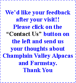 Text Box: Wed like your feedback after your visit!!  Please click on theContact Us button on the left and send us your thoughts about Champlain Valley Alpacas and Farmstay.  Thank You