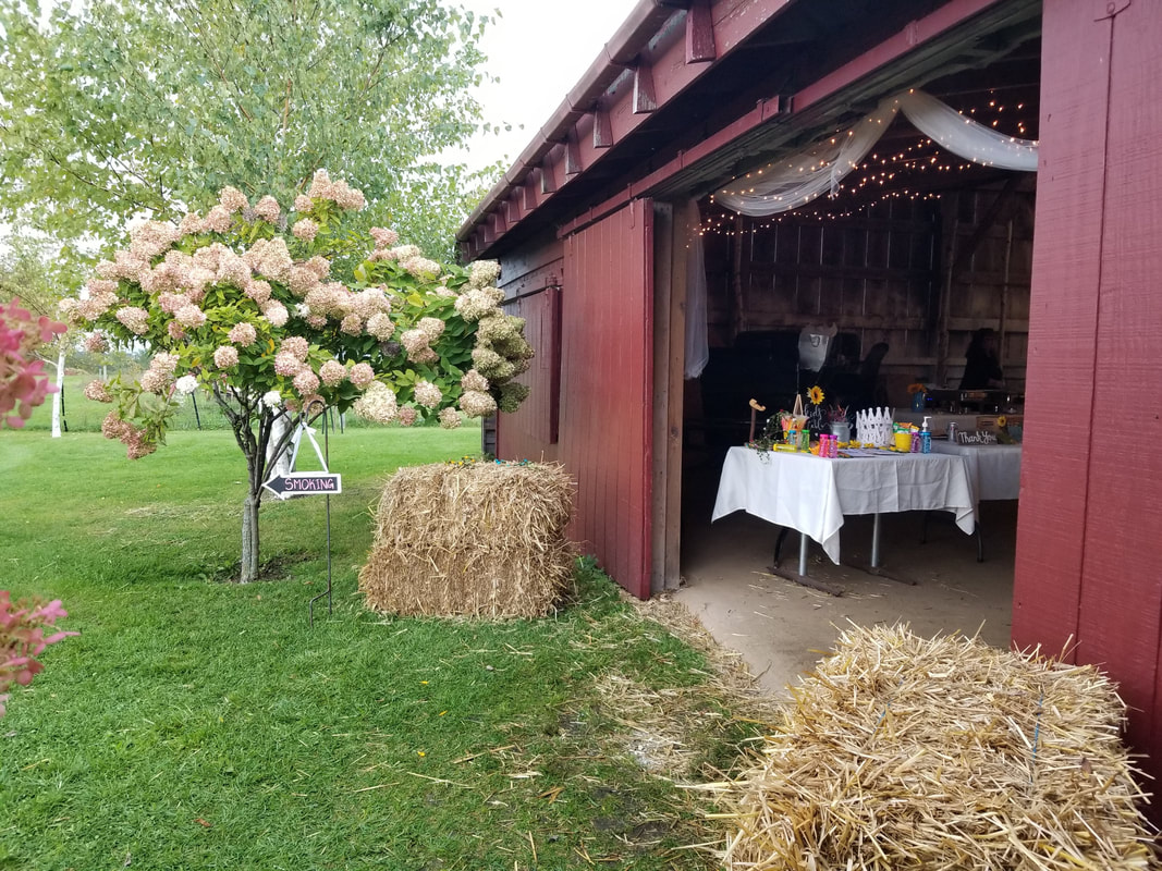 Barn wedding in Vermont at Champlain Valley Alpacas