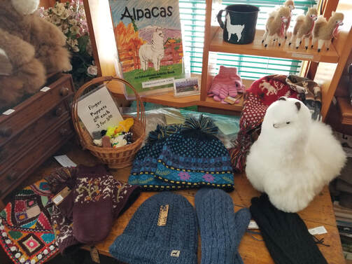 A variety of alpaca products including mittens, hats, stuffed animals, finger puppets, and coloring books are displayed inside of this alpaca store at Champlain Valley Alpacas.