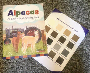 An educational alpaca activity book for children along with facts about the animal is displayed for sale at this alpaca store.