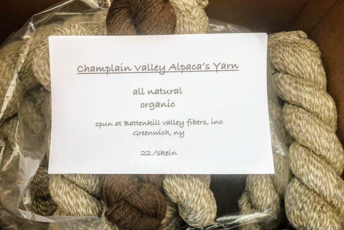 Skeins of alpaca yarn that vary in color are posed for sale with a sign over them that says the yarn is spun from animals that live on Champlain Valley Alpacas.